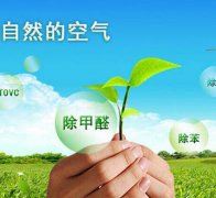 除甲醛對于住房安全和環(huán)境保護的作用有什么？