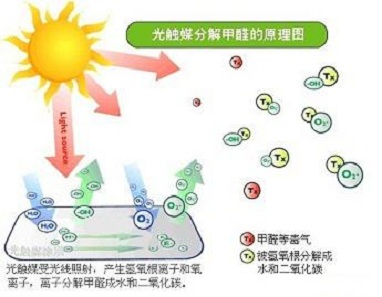 佛山除甲醛公司