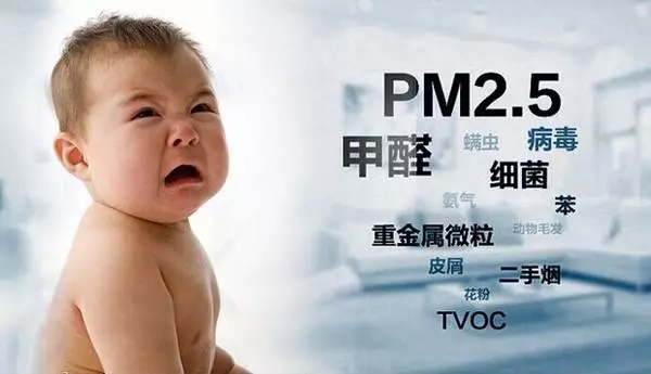 佛山專(zhuān)業(yè)除甲醛公司  